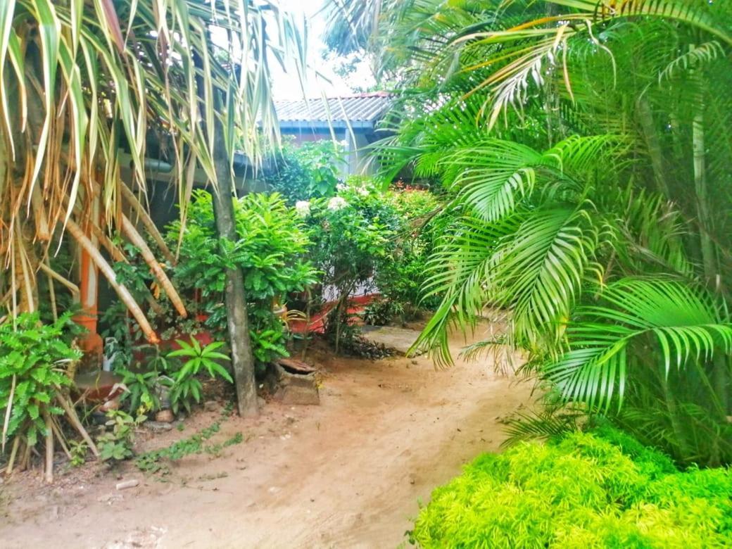 Senith Guest House מיריסה מראה חיצוני תמונה