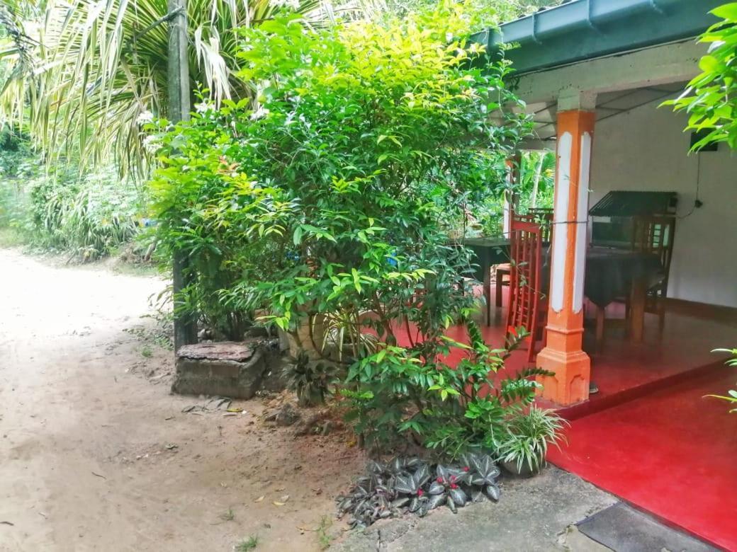 Senith Guest House מיריסה מראה חיצוני תמונה